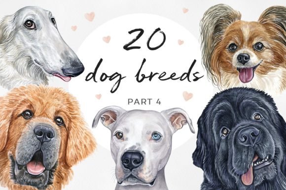 Bringing Canine Charm to Life with Watercolor Set 20 DOG Breeds PART 4
