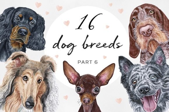 Watercolor Set 16 DOG Breeds PART 6: Elevating Creative Projects with High-Quality Illustrations
